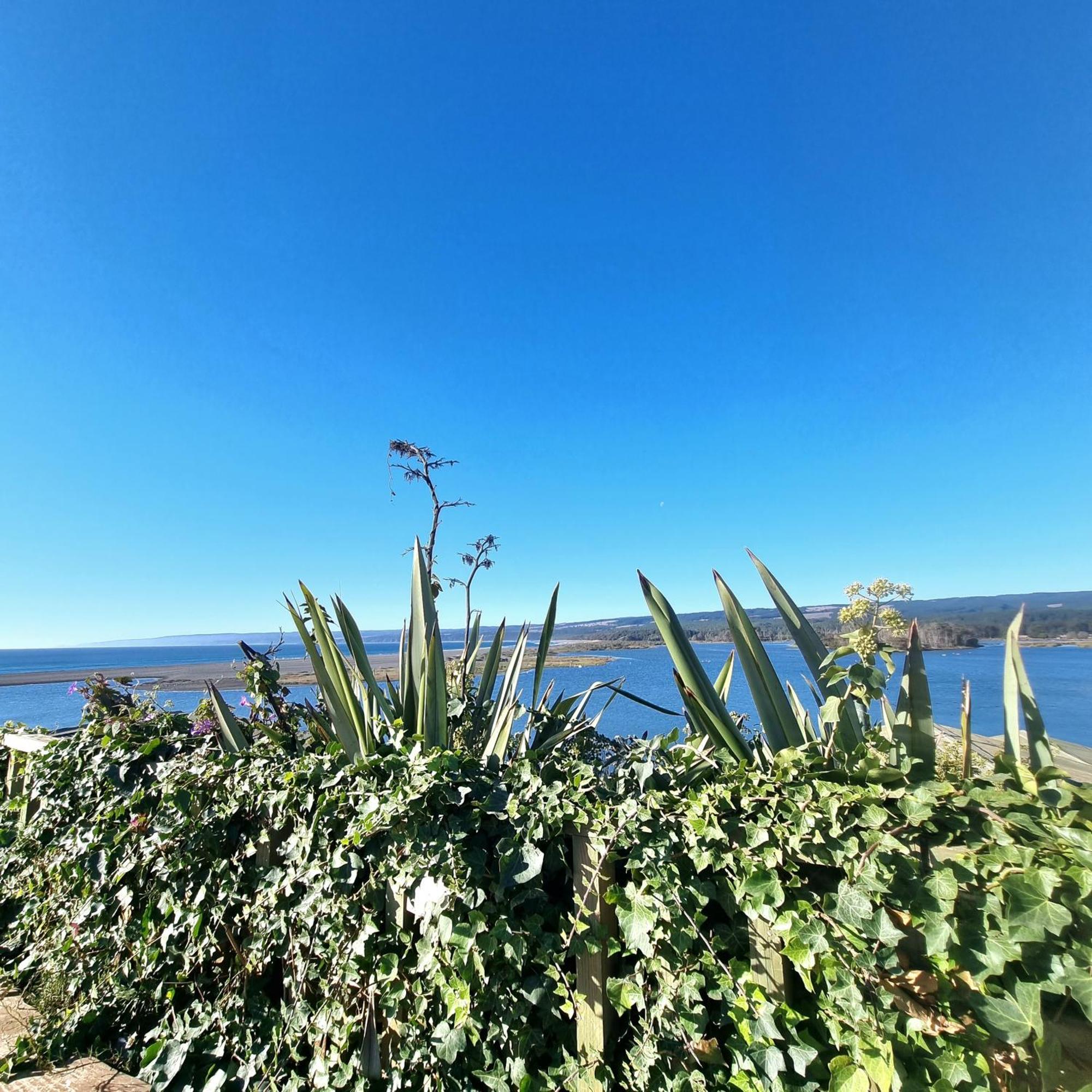 Max & Mar Pichilemu Eksteriør bilde